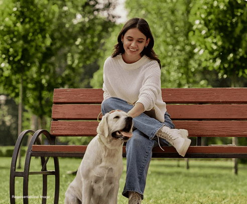 Badminton court with shuttlecocks